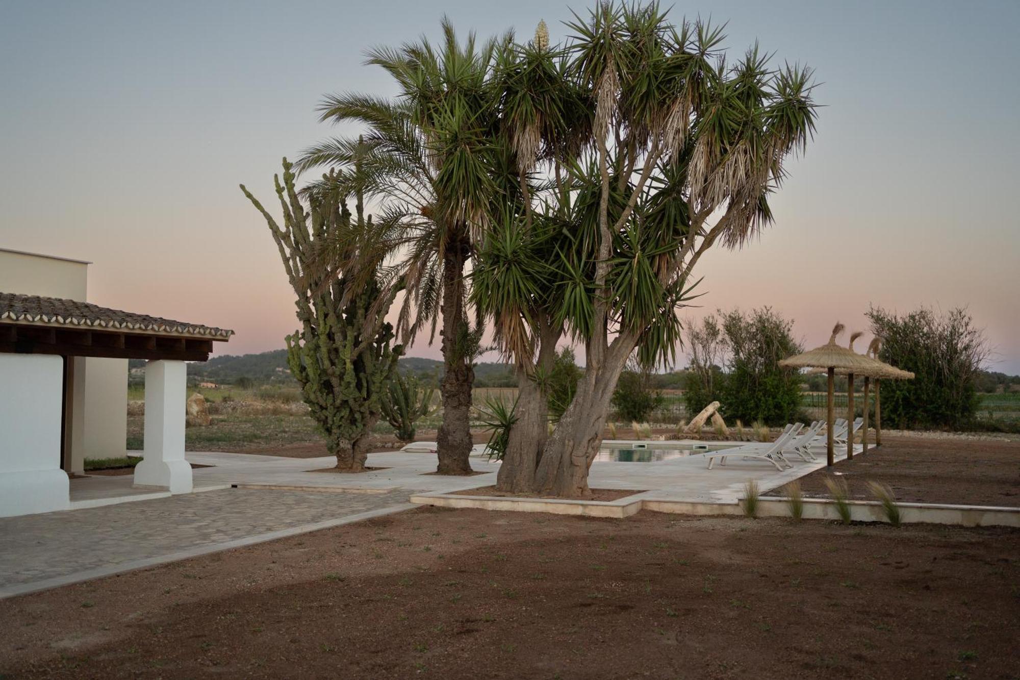 Vino Resort Son Amaret Son Macia  Esterno foto