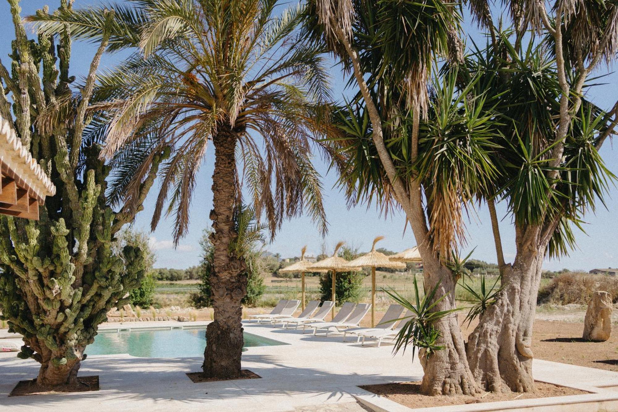 Vino Resort Son Amaret Son Macia  Esterno foto