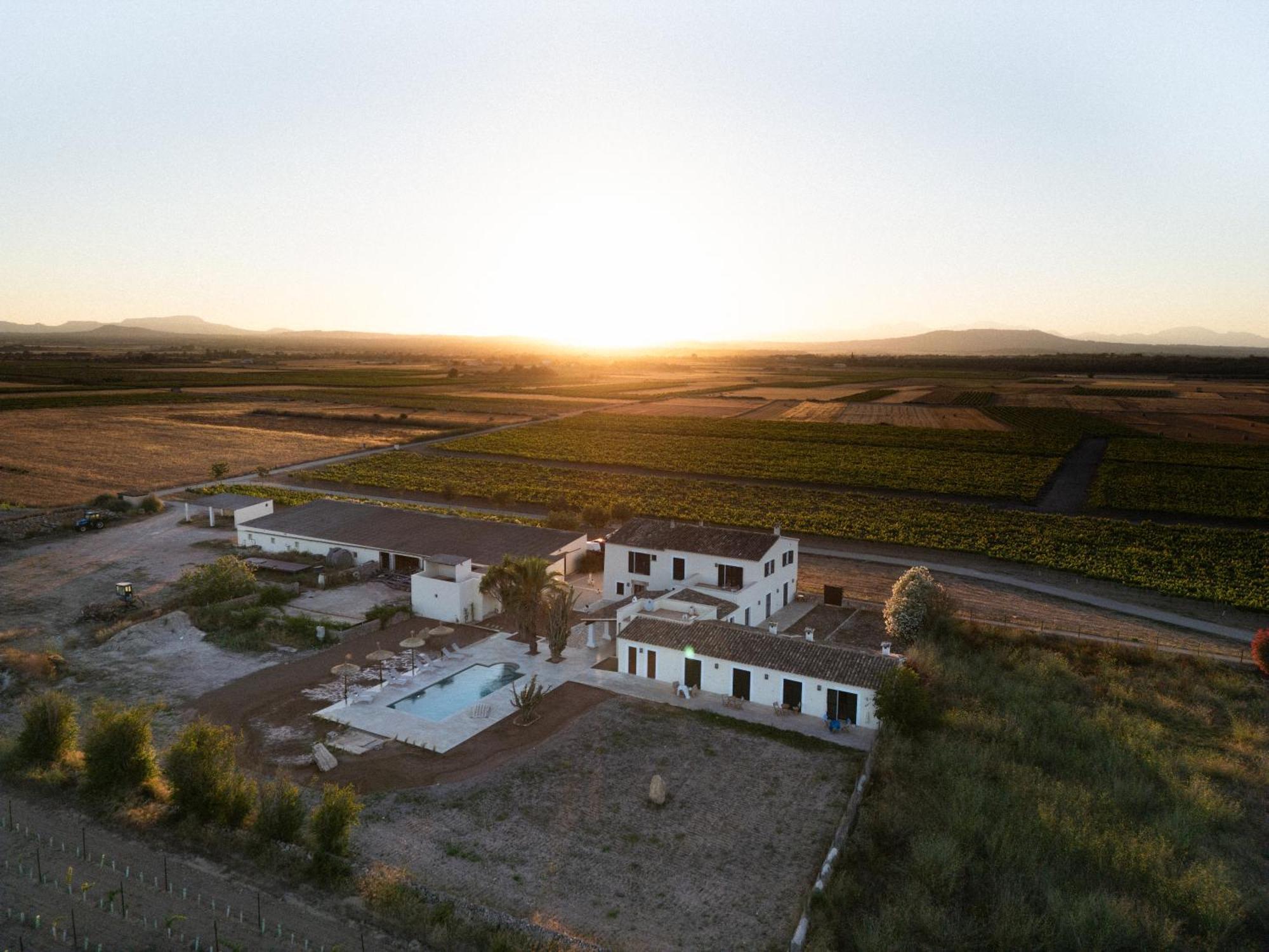 Vino Resort Son Amaret Son Macia  Esterno foto