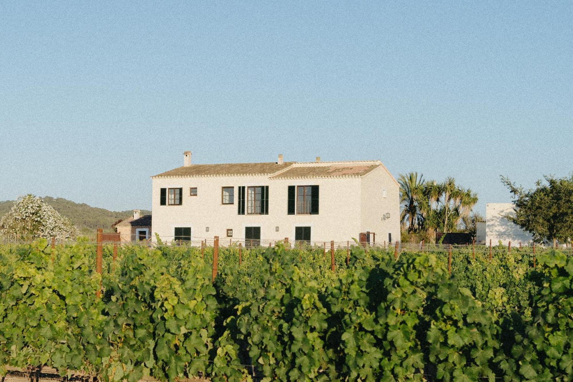 Vino Resort Son Amaret Son Macia  Esterno foto